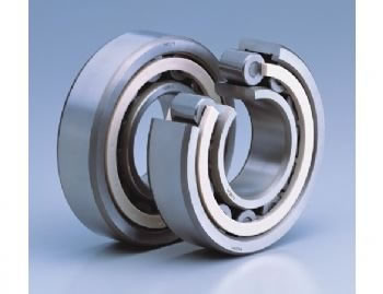 Axle Bearings NF2220E.M1.C4.F2