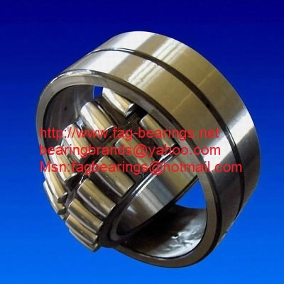 SKF 231255C